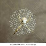 选择沙巴娱乐平台时需要注意的几个关键因素 fh74mtmnxu