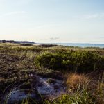 酷游备用网站最新入口导航与安全指南分析 n9axqs5tc1