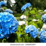 CCTV5篮球赛事在线直播高清观看指南 yc08u