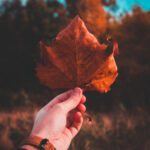 《爸爸去哪儿第二季》精彩直播回顾,重温亲子温馨瞬间 u58yh